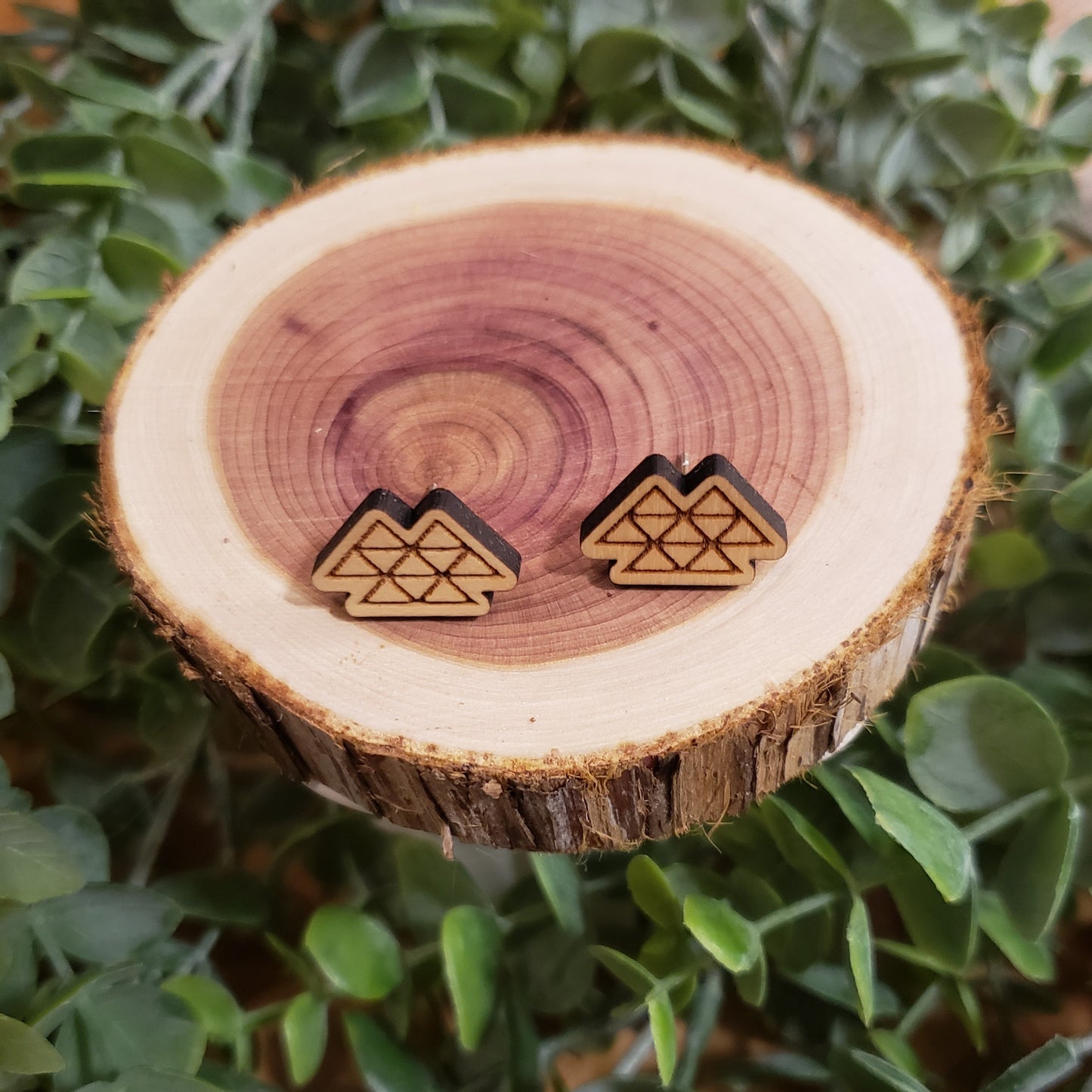 Triangle Stud Earrings