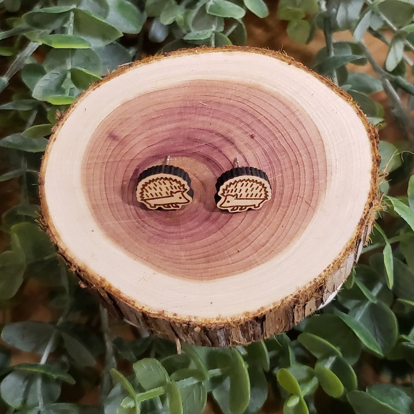 Hedgehog Stud Earrings