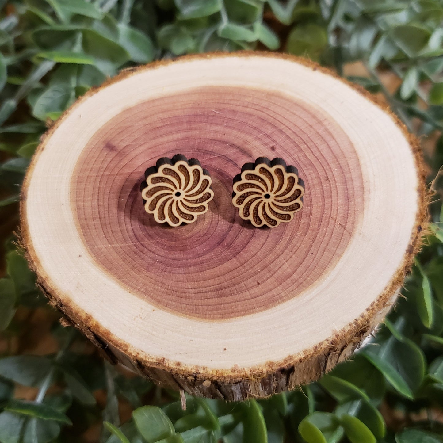 Spiral Stud Earrings